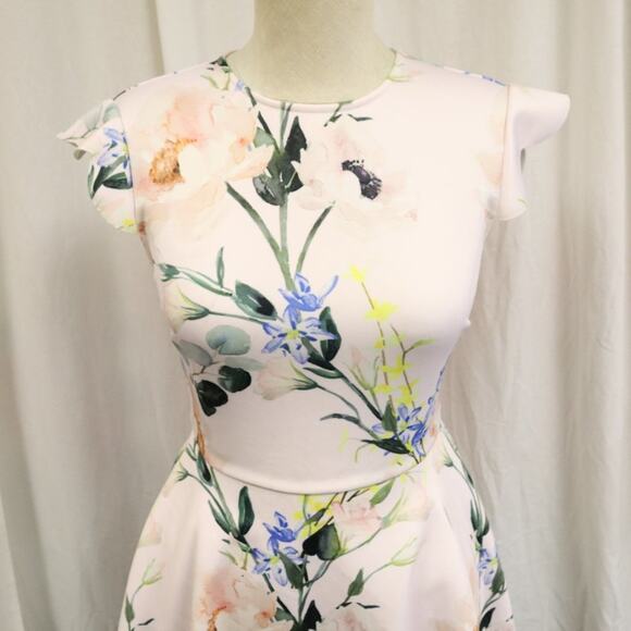 Ted Baker Size 0 Pink and Floral Dress Fit and Flare - Picture 3 of 11
